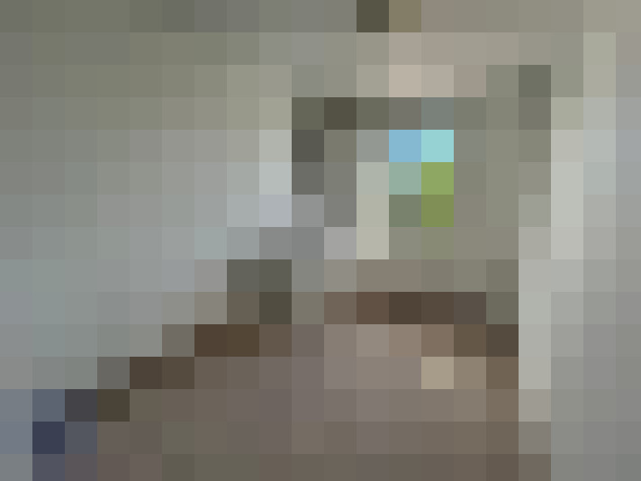  / #11