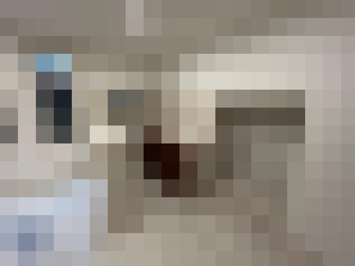  / #8