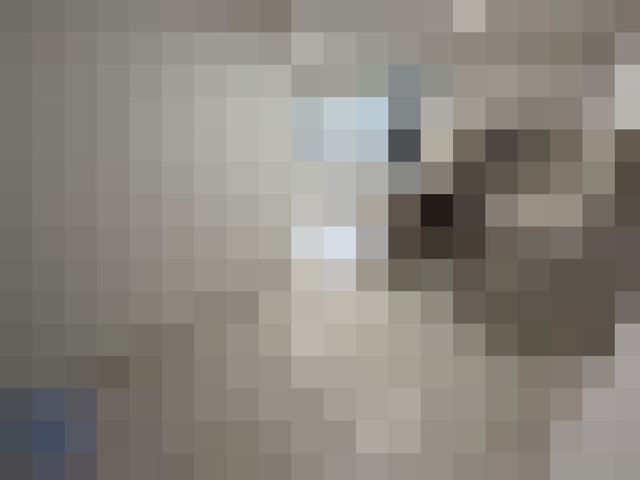  / #11