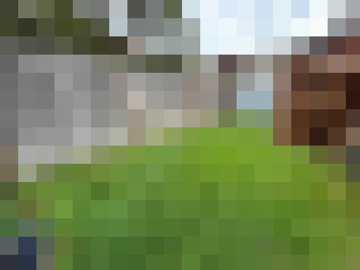  / #14