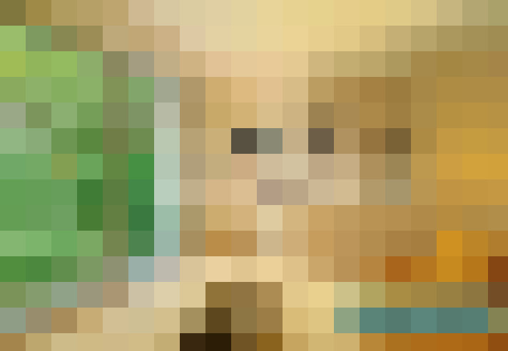  / #13