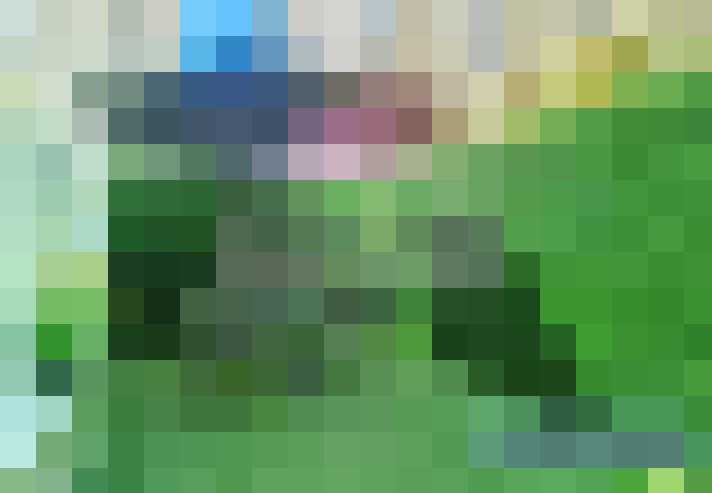  / #17