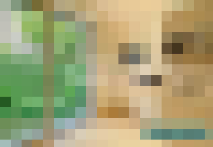  / #16