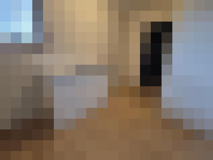 / #23