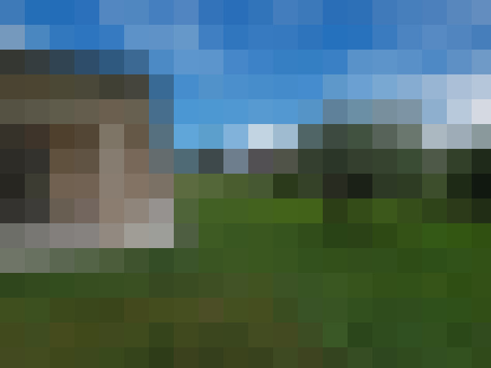  / #7
