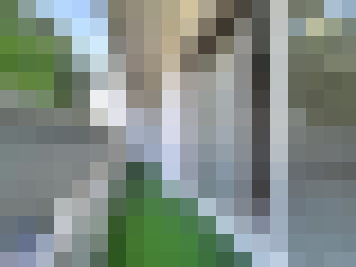  / #7
