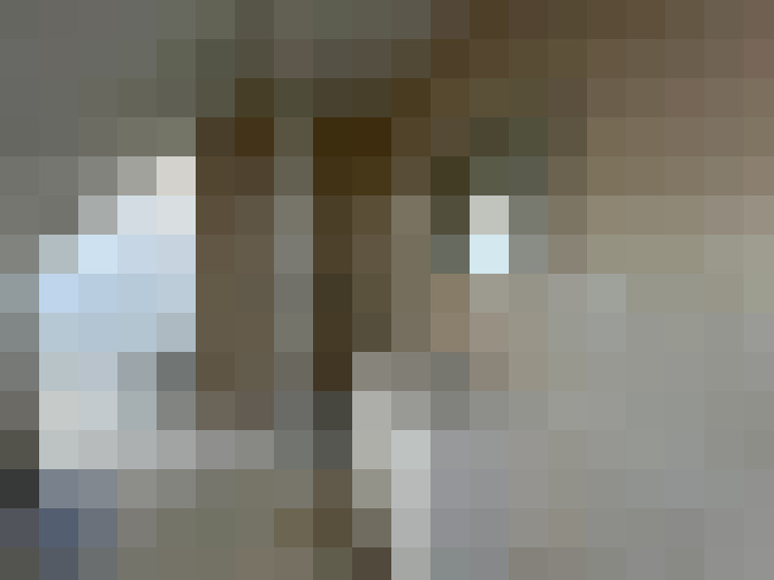  / #13