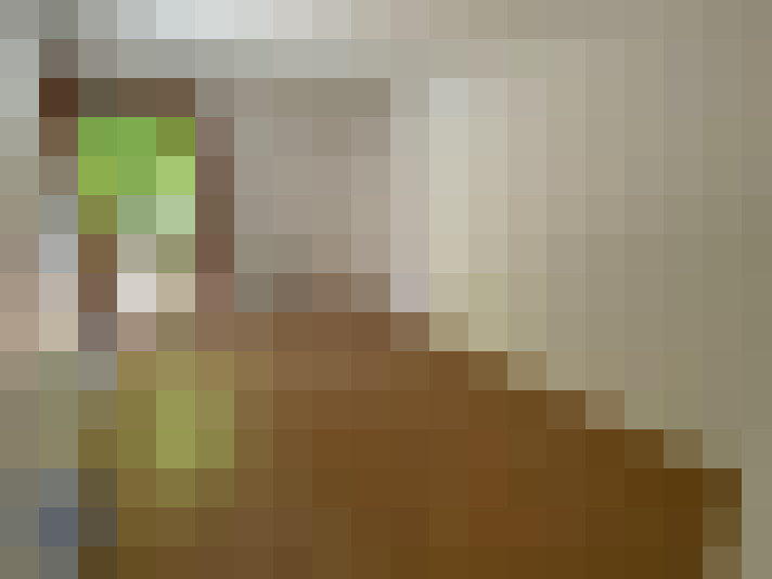  / #5
