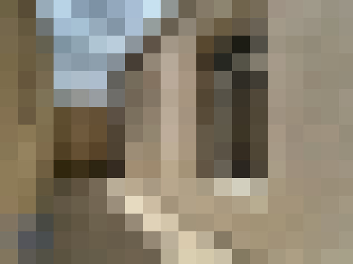  / #21