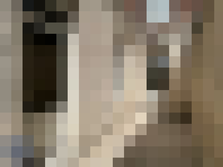  / #20