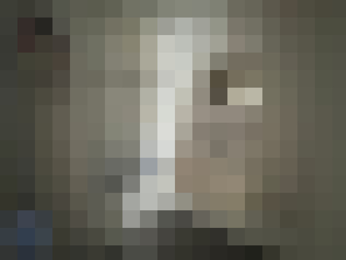  / #11