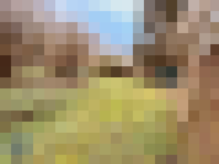  / #7