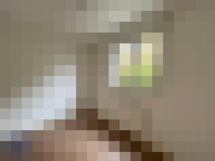  / #7