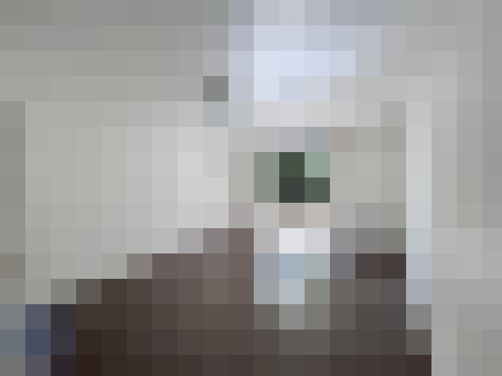  / #7