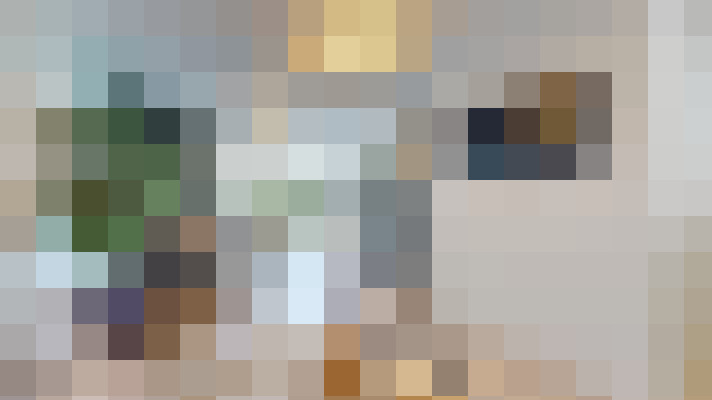  / #14