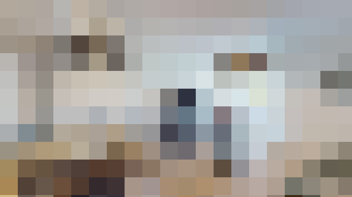  / #17