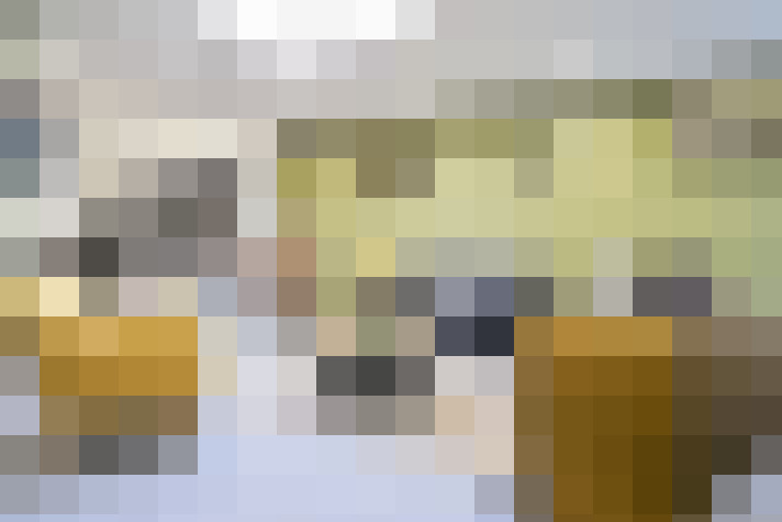  / #8