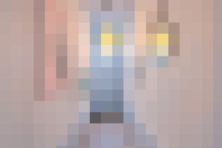  / #11