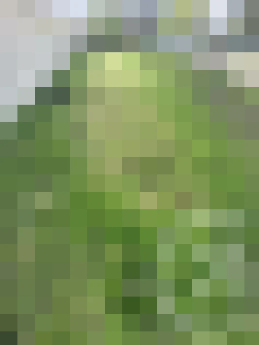  / #18