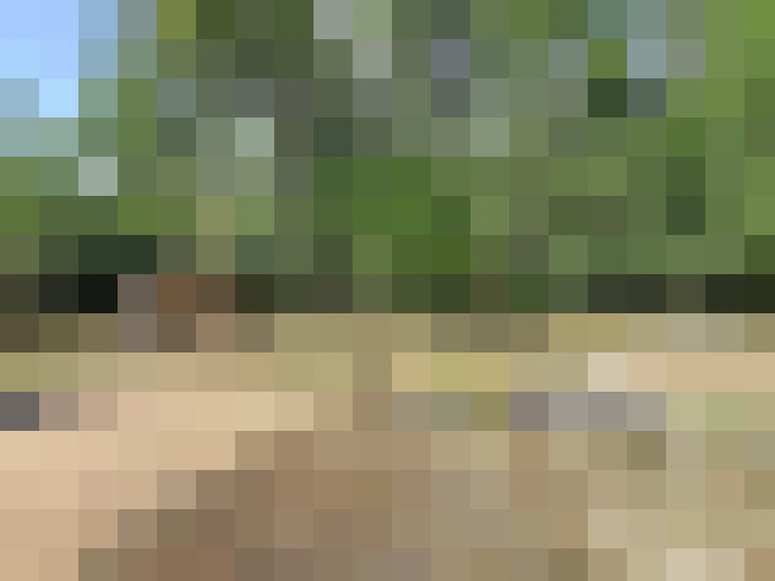  / #16