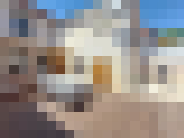  / #24