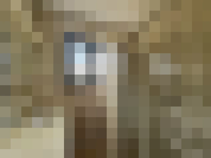  / #8