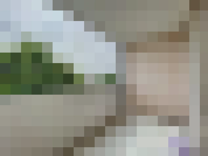  / #7