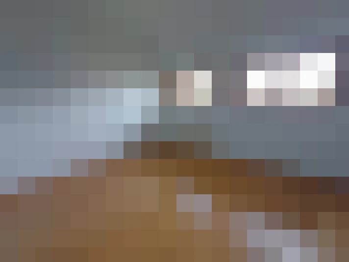  / #15