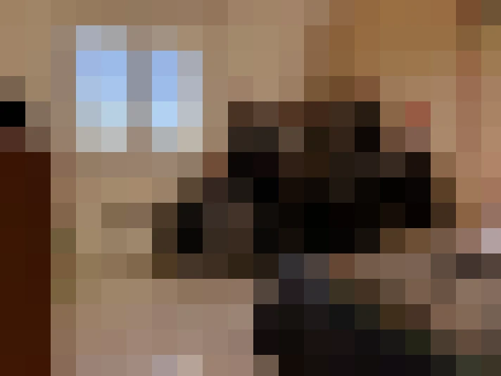  / #14