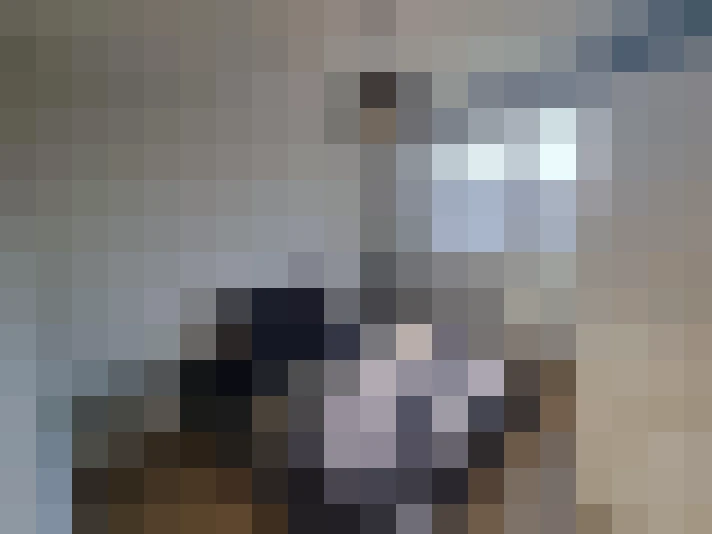  / #12