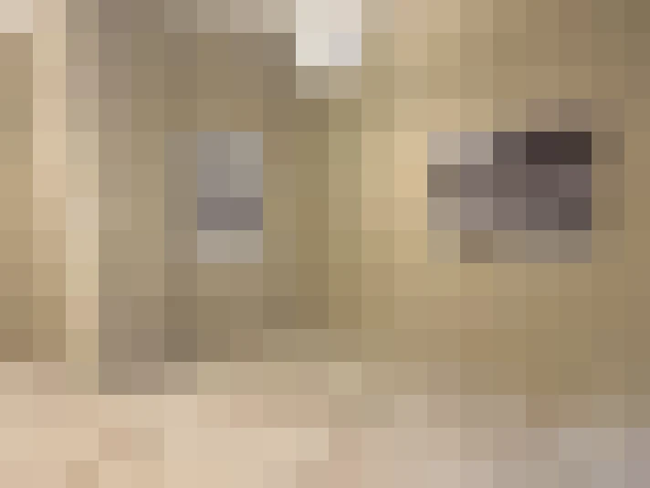  / #16