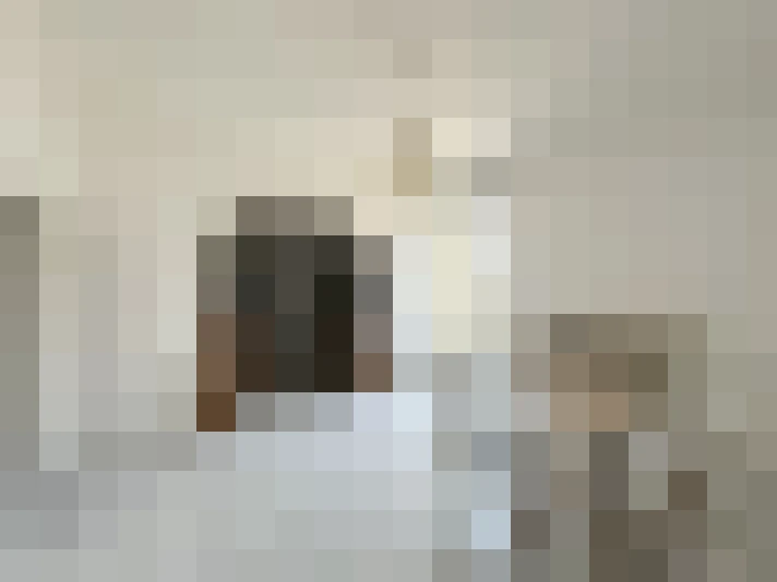  / #8