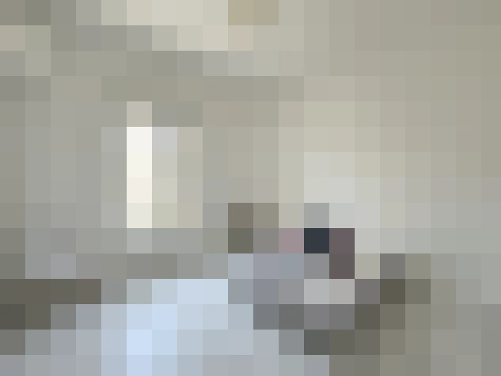  / #15