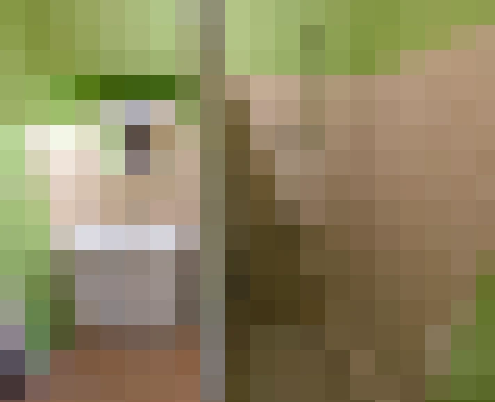  / #7