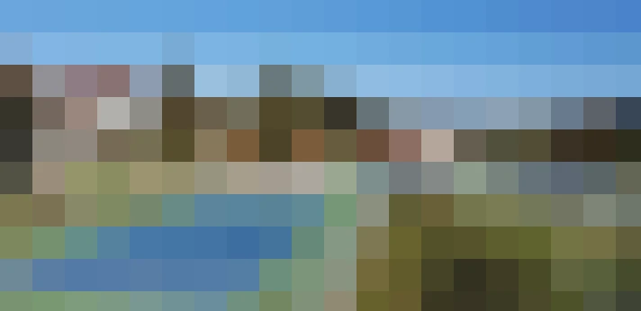  / #7