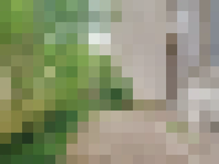  / #17
