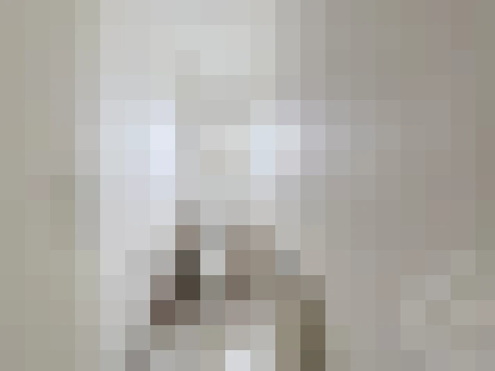  / #19