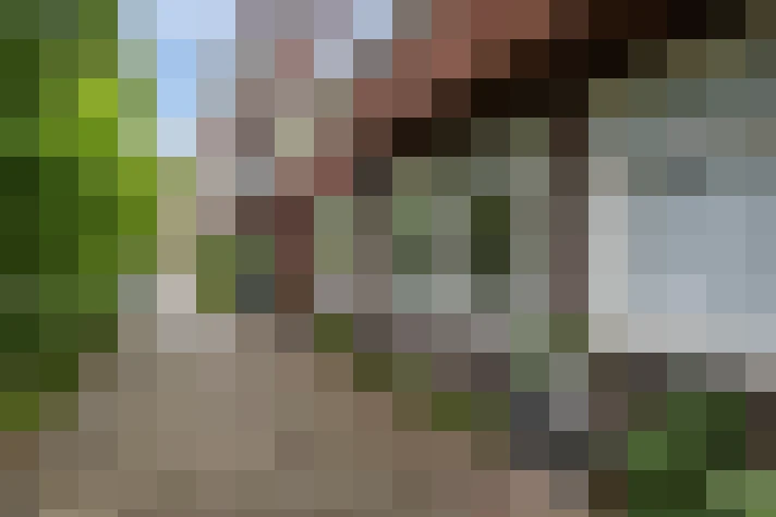  / #2