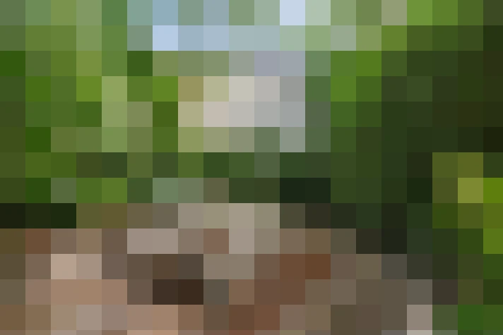  / #18