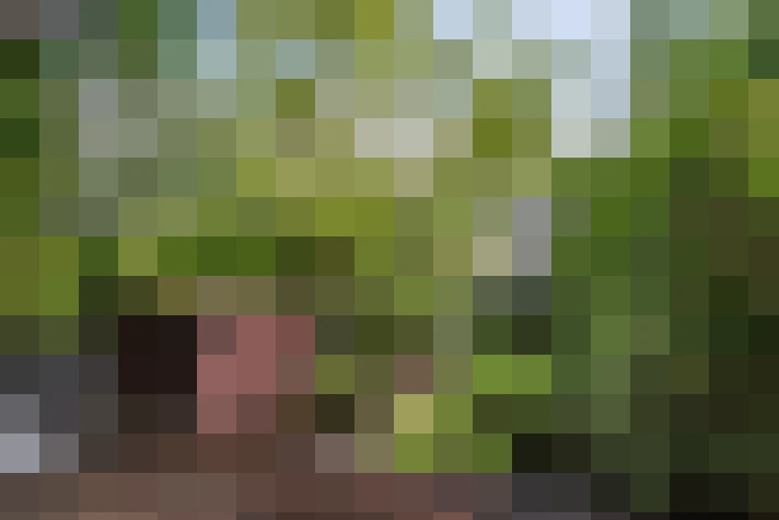  / #16