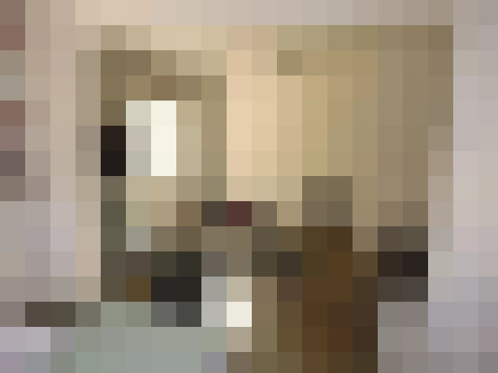  / #8