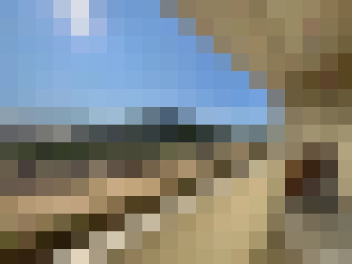  / #7
