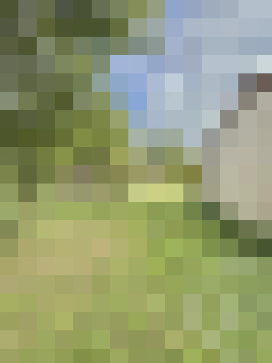  / #16