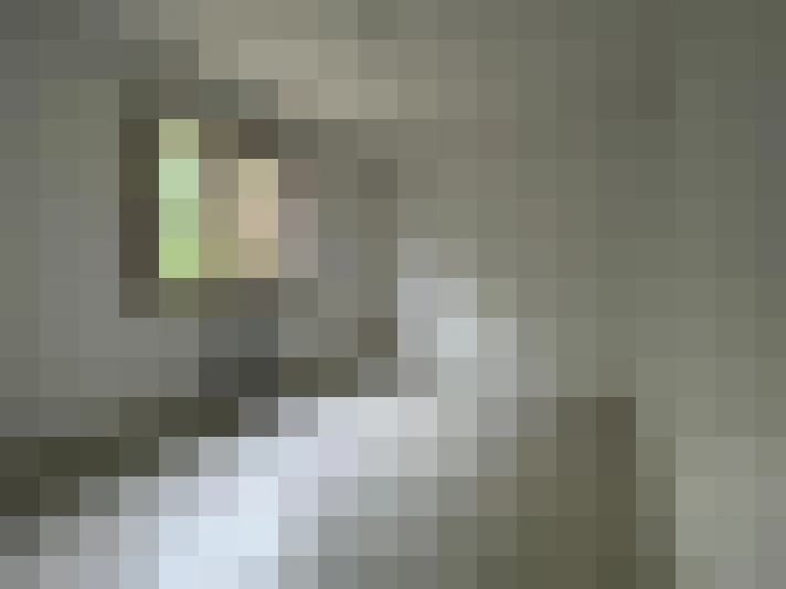 / #15