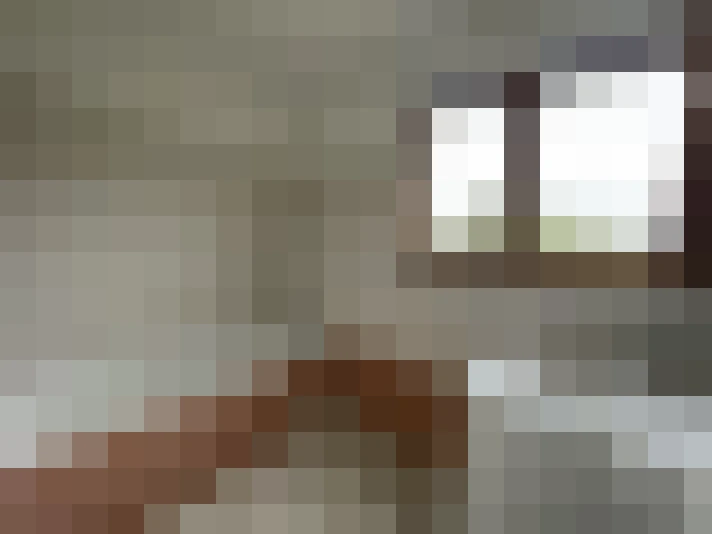  / #16
