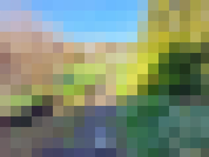  / #16