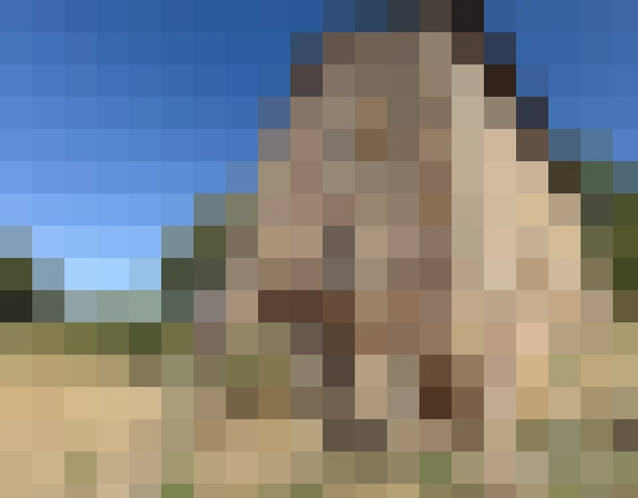  / #18