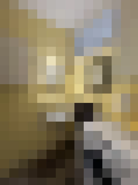  / #8
