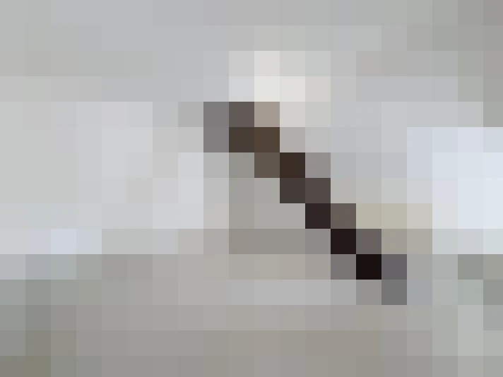  / #9
