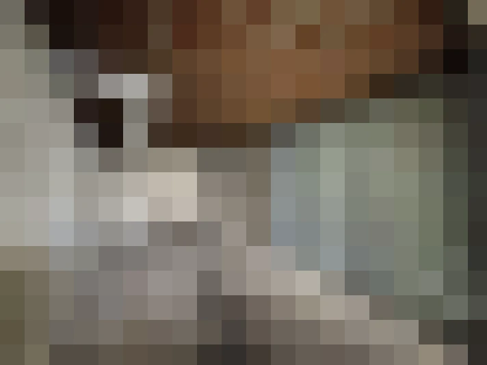  / #14
